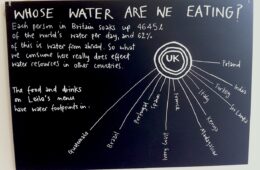 How much water do you eat? (Wonderwater Café)